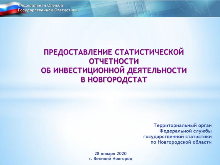 Предоставление статической отчетности об инвестиционной деятельности в Новгородстат
